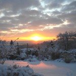 Maddie's Photo