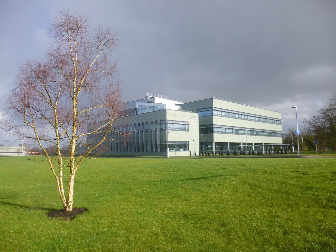 The University of Surrey's new school of veterinary is passed on the walk titled Tracing A Medieval Royal Deer Park. Click to enlarge in a new window.