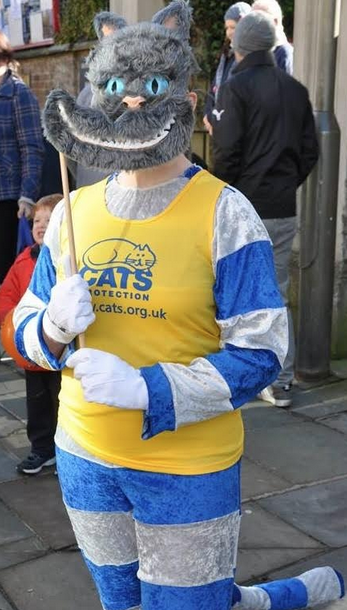 Guildford And Godalming Cats Protection Guildford And Godalming Cats Protection