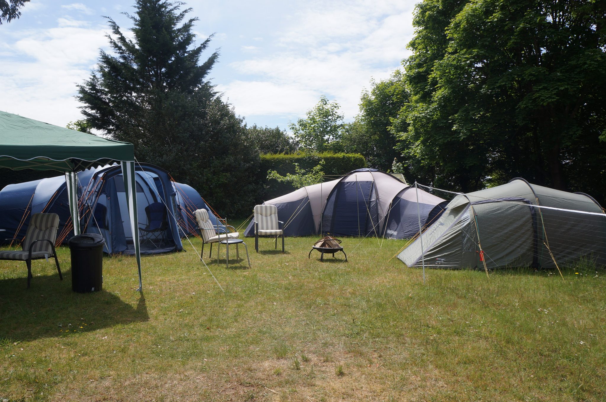 Guildford Dragon News The Guildford Dragon